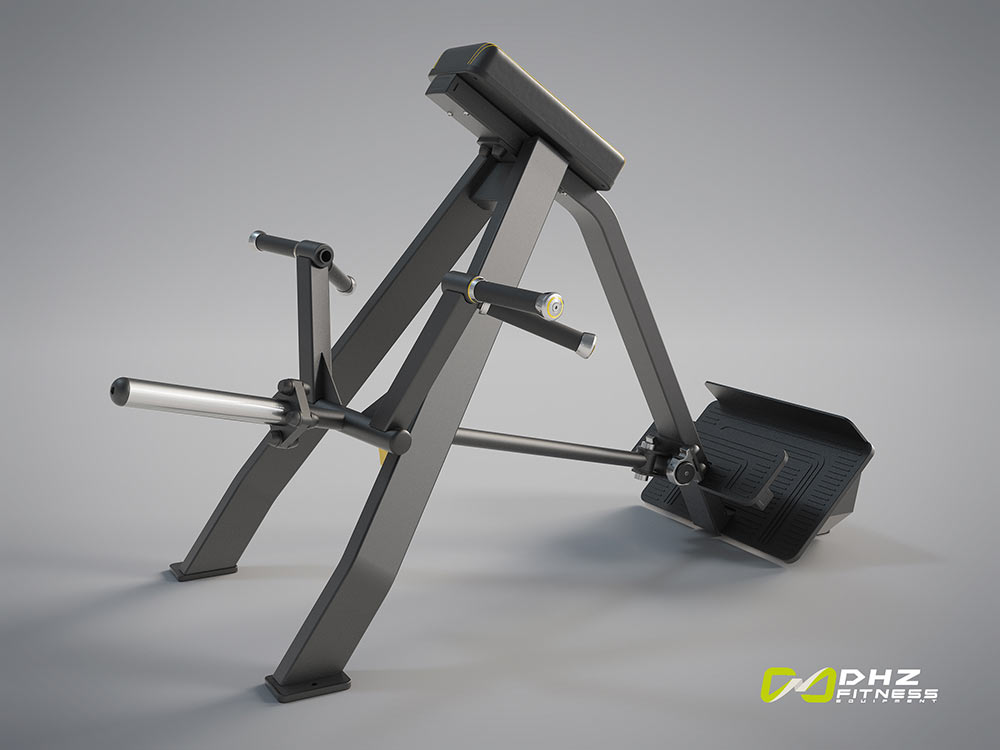DHZ – EVOST II – Remo en punta // Incline Level Row A3061