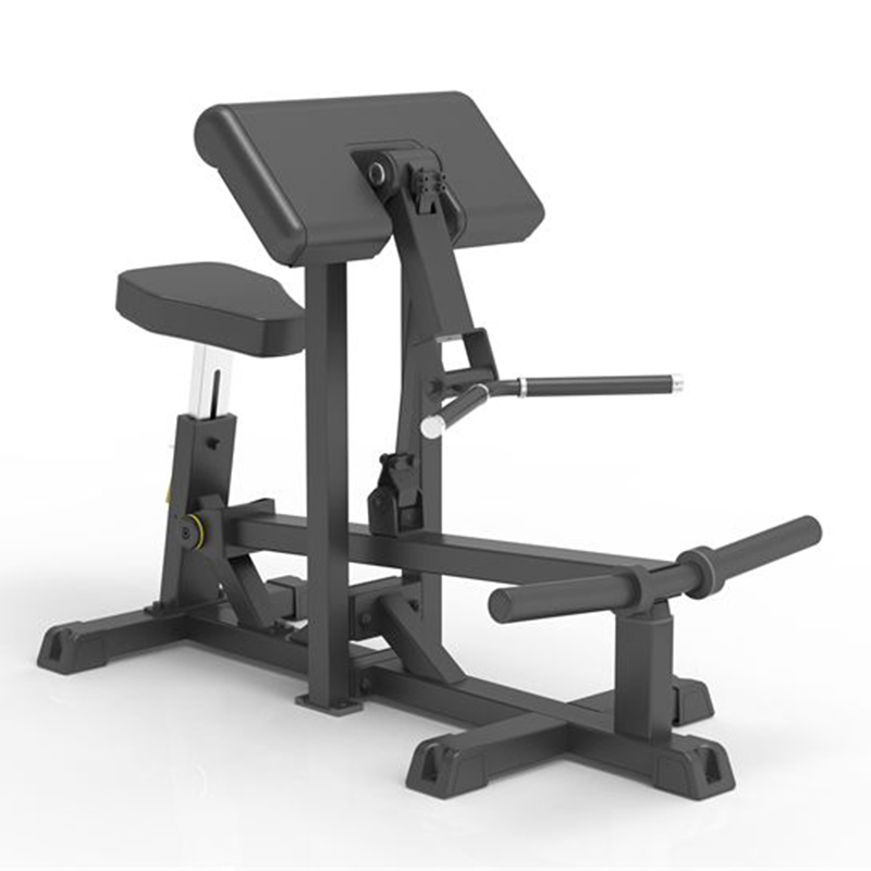 IMPULSE IFP1501 CURL DE BICEPS