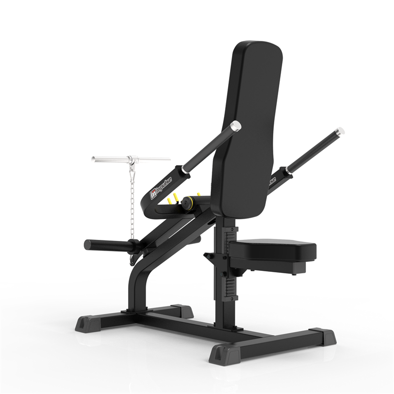 IMPULSE IFP1706 BICEPS/TRICEPS